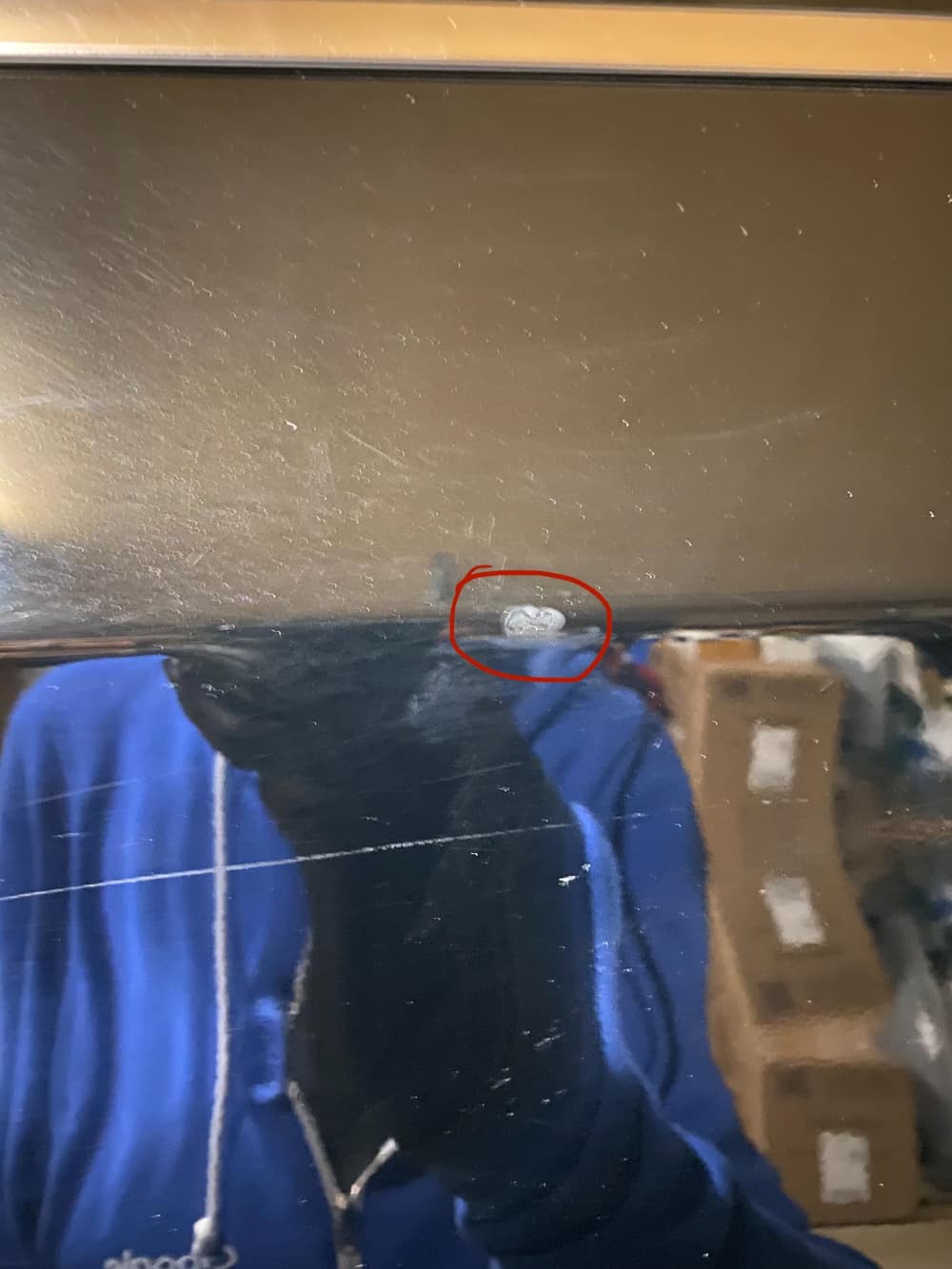 Fotoğraf: Kevin 2