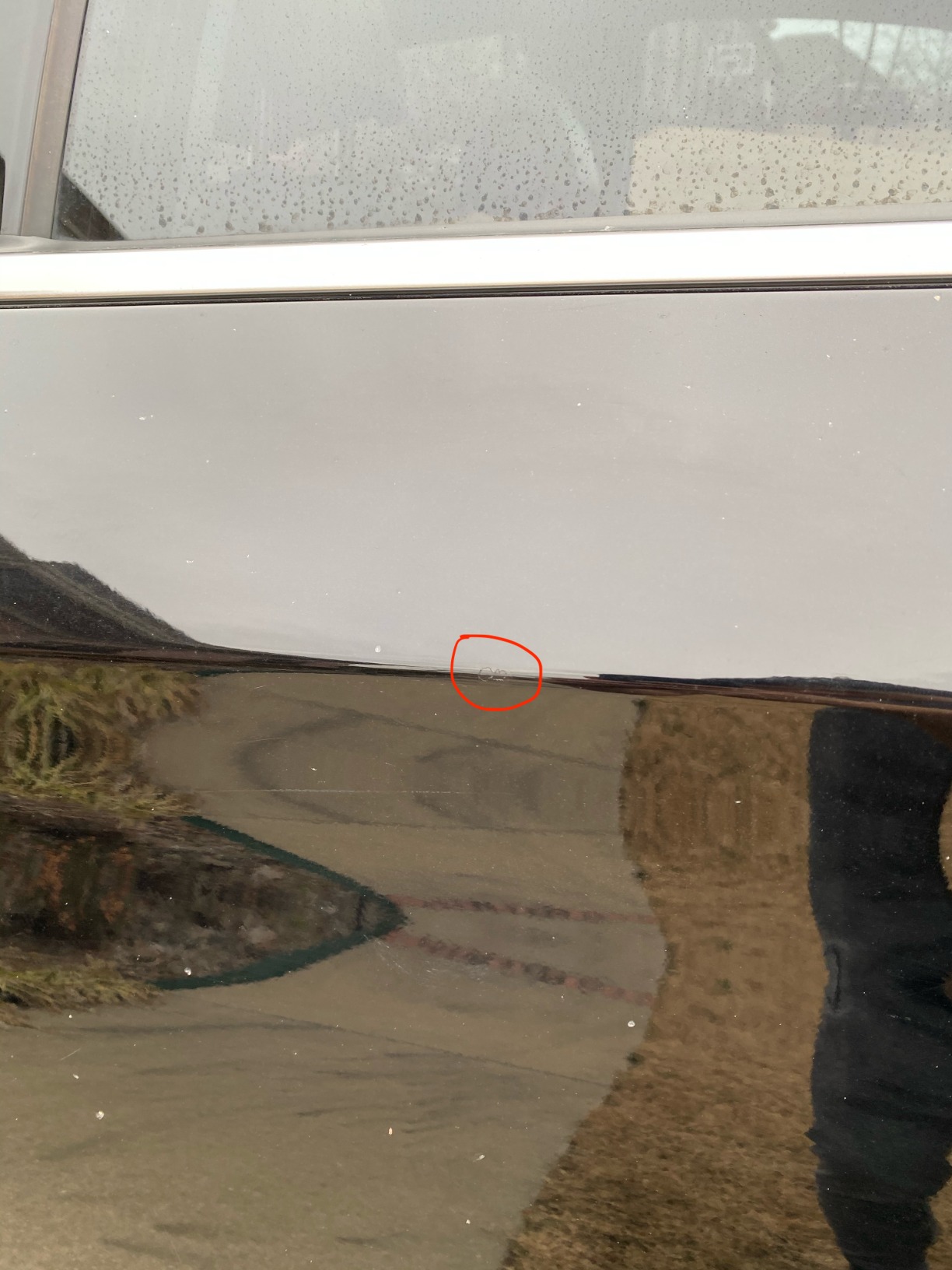 Fotoğraf: Kevin 1